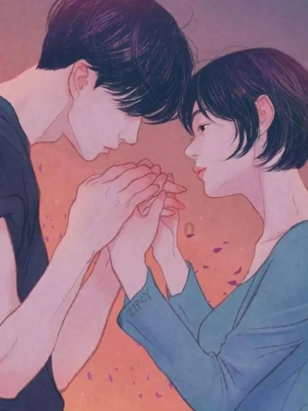 救援狗与猫
